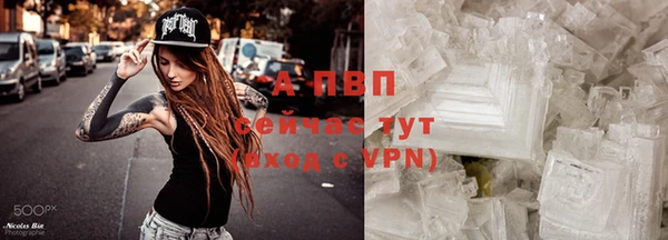 spice Белоозёрский